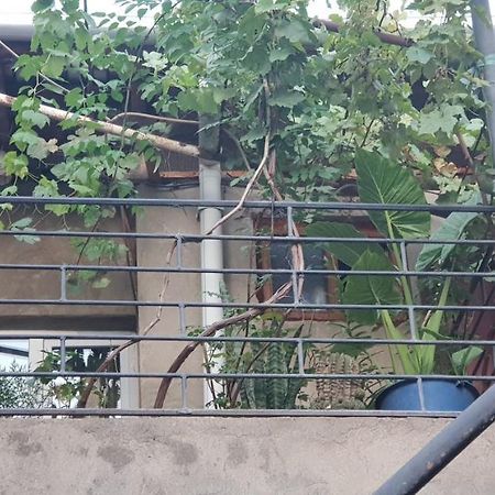 2 Santeli Turn Guest House Tbilisi Buitenkant foto